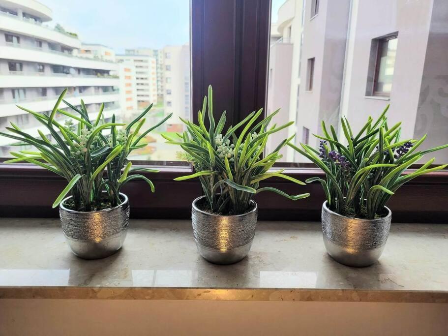 Apartment Sophie 3 Rooms, 2 Bathrooms, 8 Persons Krakau Exterior foto